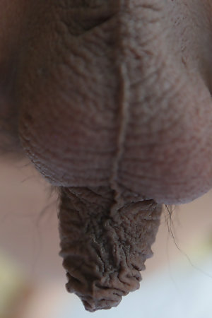 19 domain old girlie Thai shemale all round small breast gets a facial